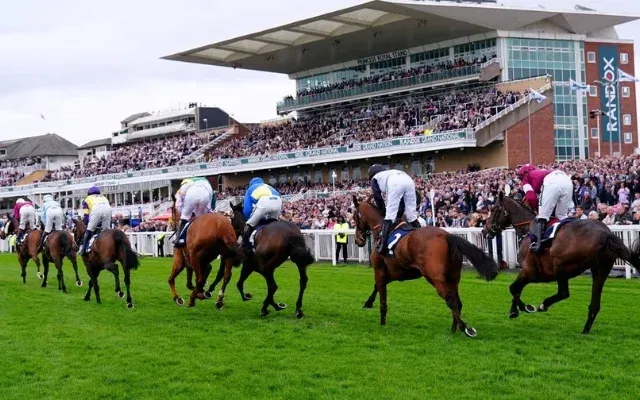 Aintree Horse Race