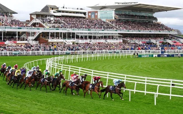Aintree Horse Races