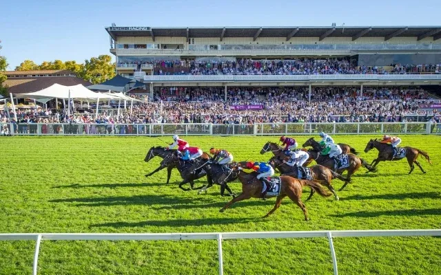 Ascot Horse Races