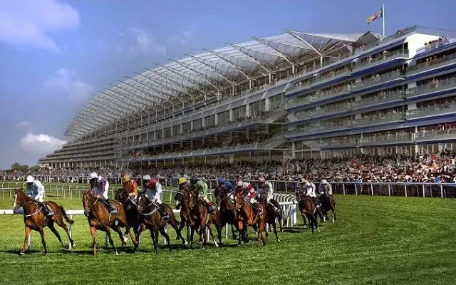 Ascot Horses Races