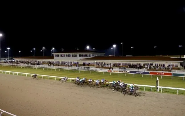 Chelmsford Horse Races Track