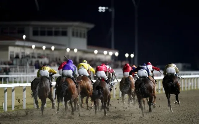 Chelmsford Horse Races