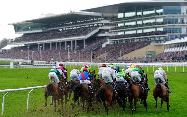Cheltenham Horse Race