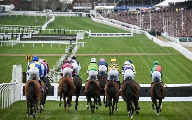 Cheltenham Horse Races Track