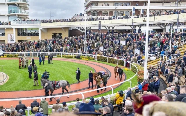 Cheltenham Horse Races